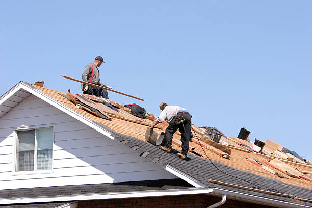 Best Metal Roofing Installation  in Lmer Heights, PA